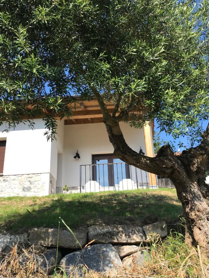 Villa La Casina Del Olivo Ribadesella Exterior foto