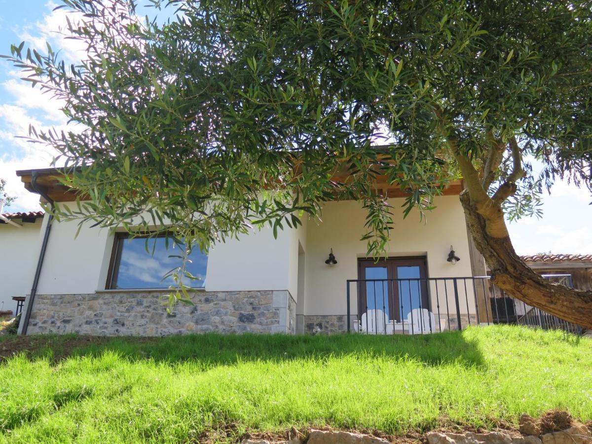 Villa La Casina Del Olivo Ribadesella Exterior foto